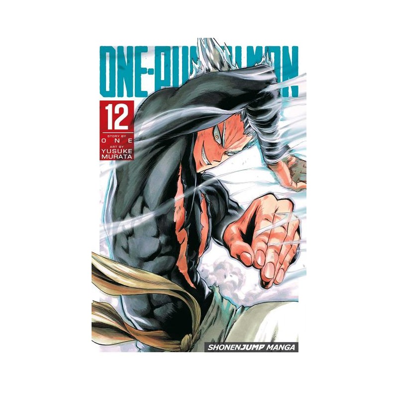 One Punch Man, Vol. 12 - One Punch Man