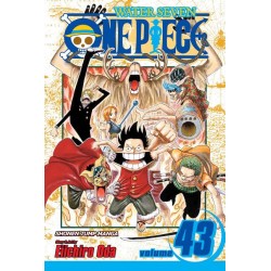 One Piece, Vol. 43