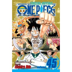 One Piece, Vol. 45