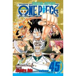 One Piece, Vol. 45