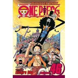 One Piece, Vol. 46