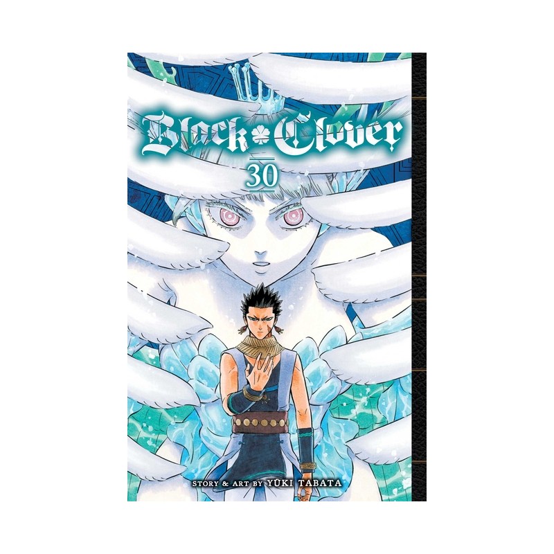 Black Clover, Vol. 30 - Black Clover