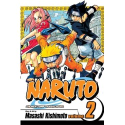 Naruto, Vol. 2