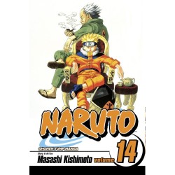 Naruto, Vol. 14
