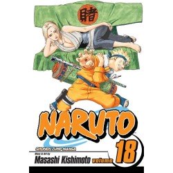 Naruto, Vol. 18