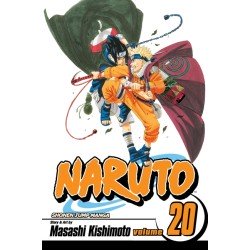 Naruto, Vol. 20