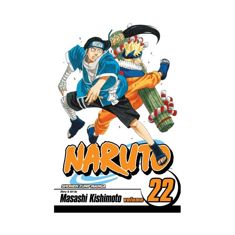 Naruto, Vol. 22