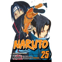 Naruto, Vol. 25