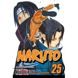 Naruto, Vol. 25