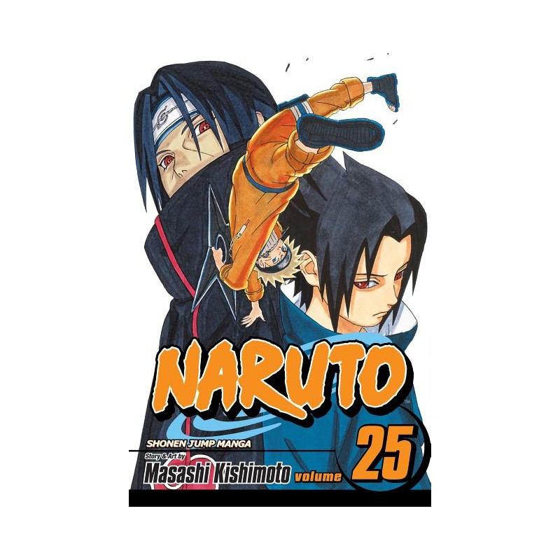 Naruto, Vol. 25