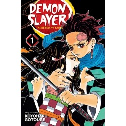 Demon Slayer: Kimetsu No Yaiba, Vol. 1