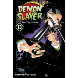 Demon Slayer: Kimetsu No Yaiba, Vol. 13