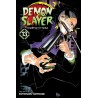Demon Slayer: Kimetsu No Yaiba, Vol. 13