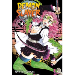 Demon Slayer: Kimetsu No Yaiba, Vol. 14