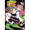 Demon Slayer: Kimetsu No Yaiba, Vol. 14