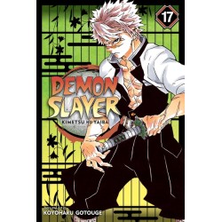 Demon Slayer: Kimetsu No Yaiba, Vol. 17