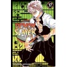 Demon Slayer: Kimetsu No Yaiba, Vol. 17