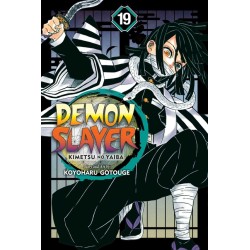 Demon Slayer: Kimetsu No Yaiba, Vol. 19