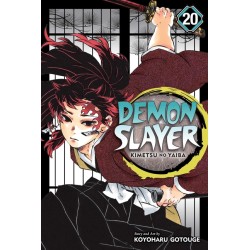 Demon Slayer: Kimetsu No Yaiba, Vol. 20