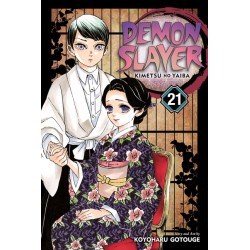 Demon Slayer: Kimetsu No Yaiba, Vol. 21