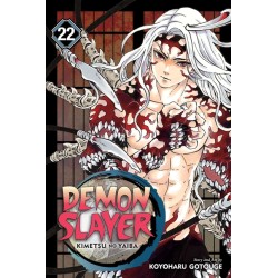 Demon Slayer: Kimetsu No Yaiba, Vol. 22