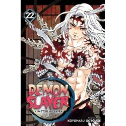 Demon Slayer: Kimetsu No Yaiba, Vol. 22