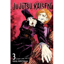Jujutsu Kaisen, Vol. 3