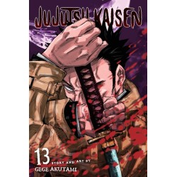 Jujutsu Kaisen, Vol. 13