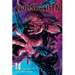 Jujutsu Kaisen, Vol. 14