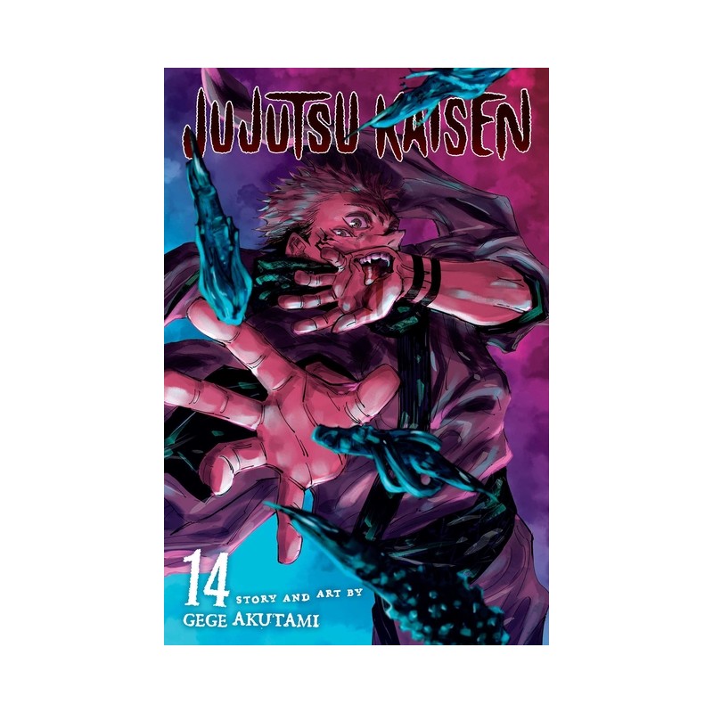 Jujutsu Kaisen, Vol. 14