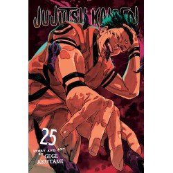 Jujutsu Kaisen, Vol. 25