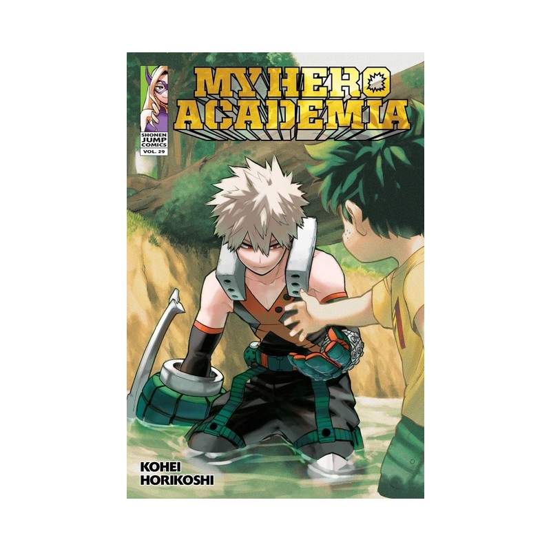 My Hero Academia, Vol. 29 - My Hero Academia