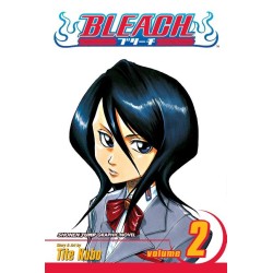 Bleach, Vol. 2