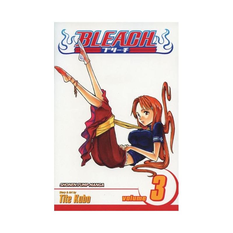 Bleach, Vol. 3