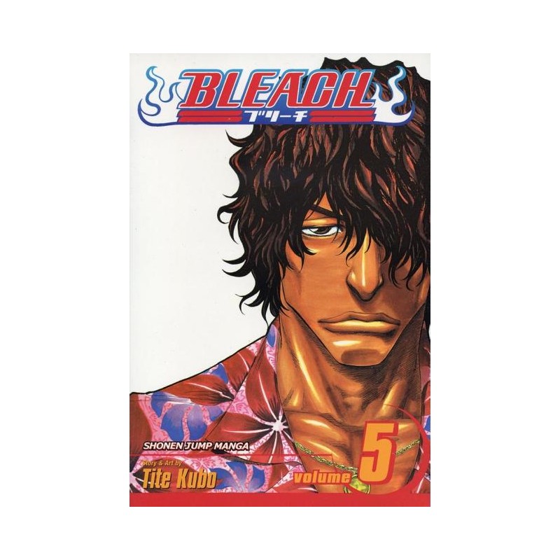 Bleach, Vol. 5 - Bleach