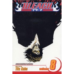 Bleach, Vol. 8