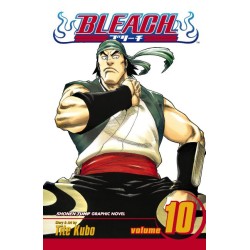 Bleach, Vol. 10