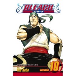 Bleach, Vol. 10