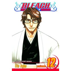 Bleach, Vol. 12