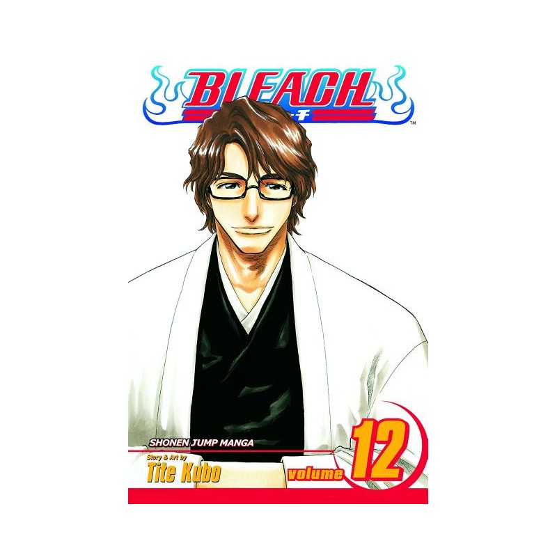 Bleach, Vol. 12