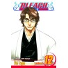 Bleach, Vol. 12