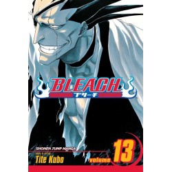 Bleach, Vol. 13