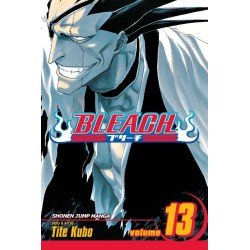 Bleach, Vol. 13