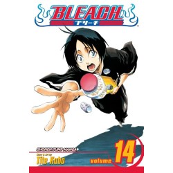 Bleach, Vol. 14