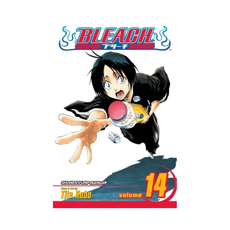 Bleach, Vol. 14