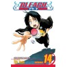 Bleach, Vol. 14