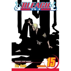 Bleach, Vol. 15