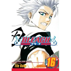 Bleach, Vol. 16