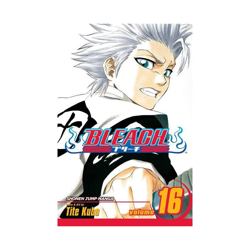 Bleach, Vol. 16
