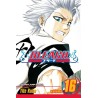 Bleach, Vol. 16